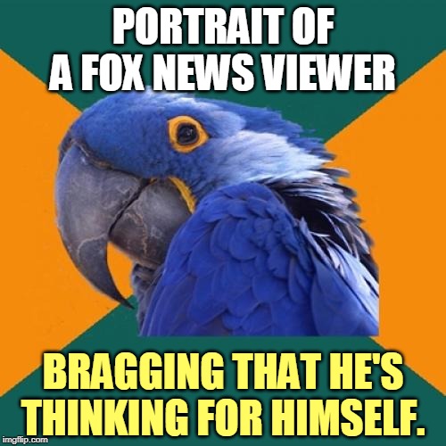 Sean Hannity says.... | PORTRAIT OF A FOX NEWS VIEWER; BRAGGING THAT HE'S THINKING FOR HIMSELF. | image tagged in memes,paranoid parrot,fox news,conservative,trump,right wing | made w/ Imgflip meme maker