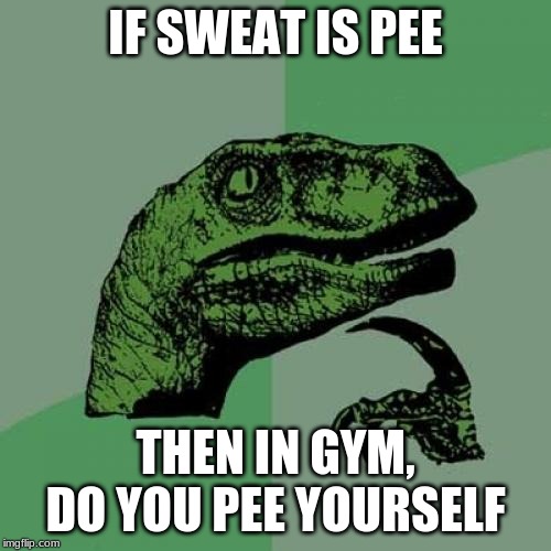 Philosoraptor Meme | IF SWEAT IS PEE; THEN IN GYM, DO YOU PEE YOURSELF | image tagged in memes,philosoraptor | made w/ Imgflip meme maker