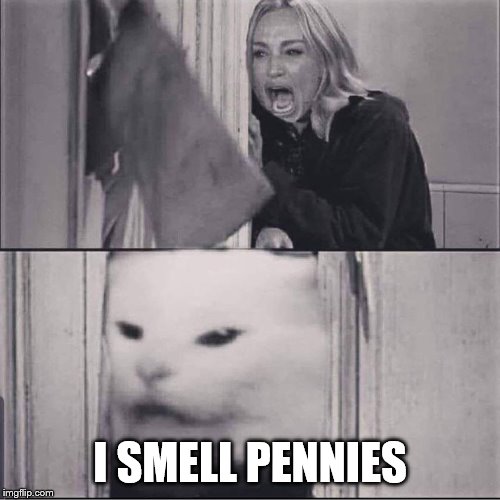 woman yells are shining | I SMELL PENNIES | image tagged in woman yells are shining | made w/ Imgflip meme maker