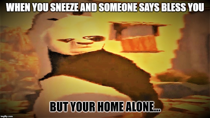 ... | WHEN YOU SNEEZE AND SOMEONE SAYS BLESS YOU; BUT YOUR HOME ALONE... | image tagged in memes | made w/ Imgflip meme maker