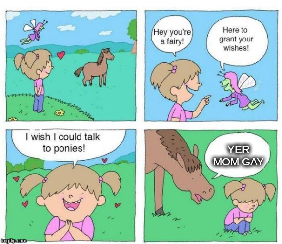 Talk to ponies | YER MOM GAY | image tagged in talk to ponies,yer mom gay | made w/ Imgflip meme maker