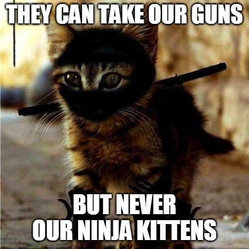 Ninja Cat | THEY CAN TAKE OUR GUNS; BUT NEVER OUR NINJA KITTENS | image tagged in ninja cat | made w/ Imgflip meme maker