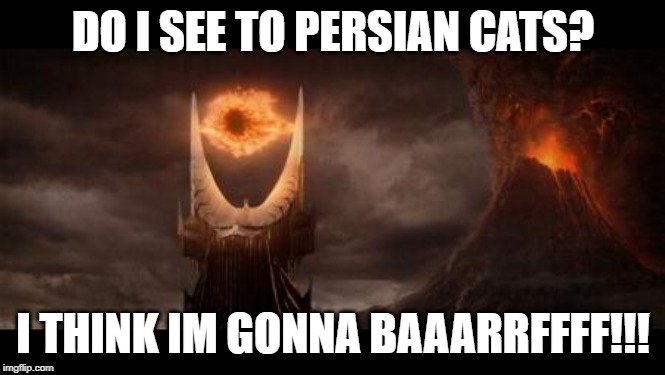 Eye Of Sauron Meme | DO I SEE TO PERSIAN CATS? I THINK IM GONNA BAAARRFFFF!!! | image tagged in memes,eye of sauron | made w/ Imgflip meme maker