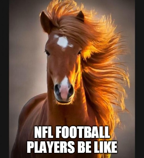 Horse | NFL FOOTBALL PLAYERS BE LIKE | image tagged in horse | made w/ Imgflip meme maker