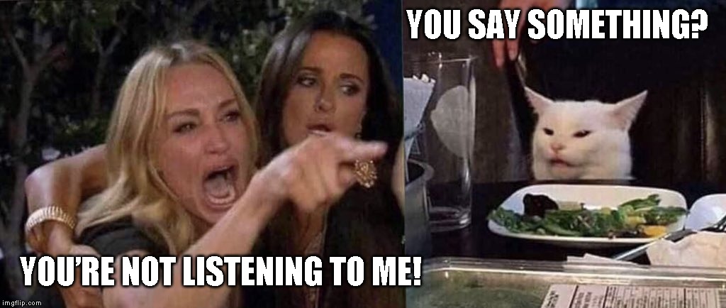 woman yelling at cat | YOU SAY SOMETHING? YOU’RE NOT LISTENING TO ME! | image tagged in woman yelling at cat | made w/ Imgflip meme maker