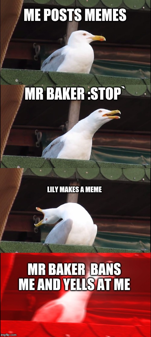 Inhaling Seagull Meme | ME POSTS MEMES; MR BAKER :STOP`; LILY MAKES A MEME; MR BAKER  BANS ME AND YELLS AT ME | image tagged in memes,inhaling seagull | made w/ Imgflip meme maker