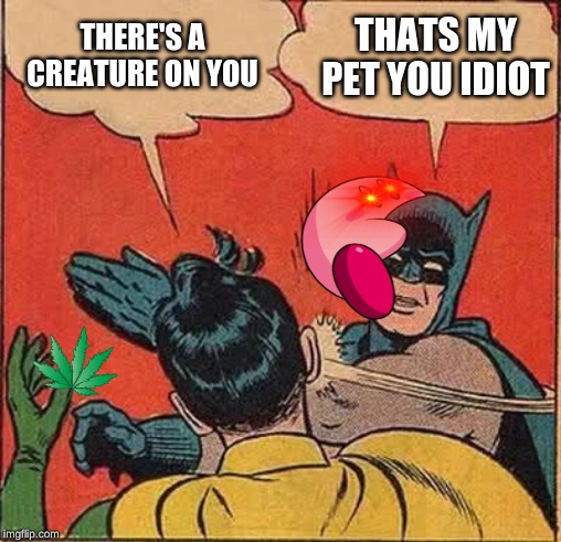 THERE'S A CREATURE ON YOU; THATS MY PET YOU IDIOT | image tagged in memes | made w/ Imgflip meme maker