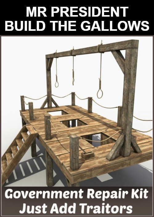 Mr. President: Build the Gallows! | image tagged in sedition,treason,deep state,conspirators,clinton corruption,democratic party | made w/ Imgflip meme maker