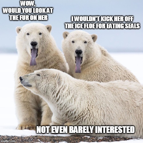Love Can Be So Cold | WOW,
WOULD YOU LOOK AT
 THE FUR ON HER; I WOULDN'T KICK HER OFF THE ICE FLOE FOR EATING SEALS; NOT EVEN BARELY INTERESTED | image tagged in two guys in love,polar bears,polar bears in love,three bears,unrequited love,crushes | made w/ Imgflip meme maker