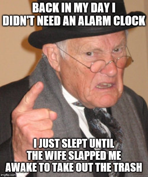 Back In My Day Meme | BACK IN MY DAY I DIDN'T NEED AN ALARM CLOCK I JUST SLEPT UNTIL THE WIFE SLAPPED ME AWAKE TO TAKE OUT THE TRASH | image tagged in memes,back in my day | made w/ Imgflip meme maker