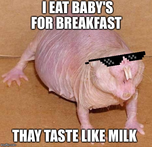 naked mole rat | I EAT BABY'S FOR BREAKFAST; THAY TASTE LIKE MILK | image tagged in naked mole rat | made w/ Imgflip meme maker