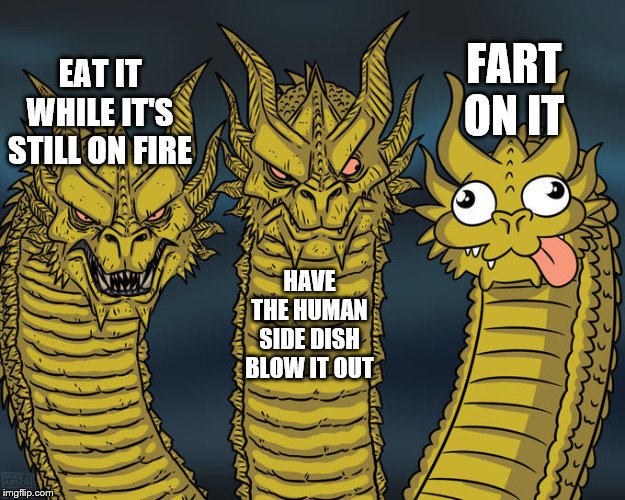 Three-headed Dragon | EAT IT WHILE IT'S STILL ON FIRE FART ON IT HAVE THE HUMAN SIDE DISH BLOW IT OUT | image tagged in three-headed dragon | made w/ Imgflip meme maker