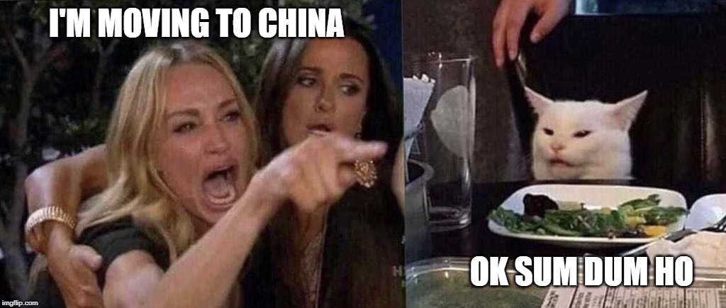 woman yelling at cat | I'M MOVING TO CHINA; OK SUM DUM HO | image tagged in woman yelling at cat | made w/ Imgflip meme maker