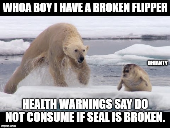 Whoa |  WHOA BOY I HAVE A BROKEN FLIPPER; CHIANTY; HEALTH WARNINGS SAY DO NOT CONSUME IF SEAL IS BROKEN. | image tagged in broken | made w/ Imgflip meme maker