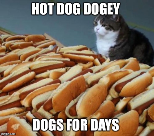 Hot dog cat | HOT DOG DOGEY; DOGS FOR DAYS | image tagged in hot dog cat,fun,funny,funny memes | made w/ Imgflip meme maker