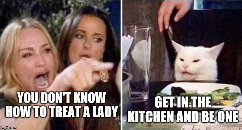 Crying girls and Cat | GET IN THE KITCHEN AND BE ONE; YOU DON'T KNOW HOW TO TREAT A LADY | image tagged in crying girls and cat | made w/ Imgflip meme maker
