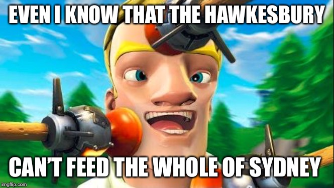 Hawkesbury noob | EVEN I KNOW THAT THE HAWKESBURY; CAN’T FEED THE WHOLE OF SYDNEY | image tagged in default noob | made w/ Imgflip meme maker
