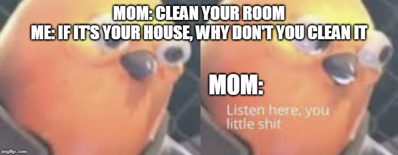 Listen here you little shit bird | MOM: CLEAN YOUR ROOM
ME: IF IT'S YOUR HOUSE, WHY DON'T YOU CLEAN IT; MOM: | image tagged in listen here you little shit bird | made w/ Imgflip meme maker