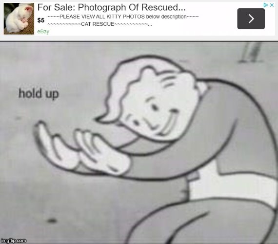 Why buy a photo of a recued cat on eBay...? | image tagged in fallout hold up | made w/ Imgflip meme maker