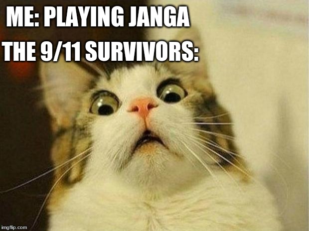 Scared Cat Meme | ME: PLAYING JANGA; THE 9/11 SURVIVORS: | image tagged in memes,scared cat | made w/ Imgflip meme maker