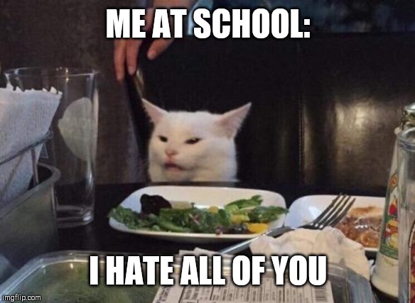 Salad cat | ME AT SCHOOL:; I HATE ALL OF YOU | image tagged in salad cat | made w/ Imgflip meme maker