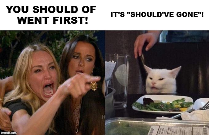 Woman Yelling At Cat Meme | YOU SHOULD OF 
WENT FIRST! IT'S "SHOULD'VE GONE"! | image tagged in memes,woman yelling at cat | made w/ Imgflip meme maker