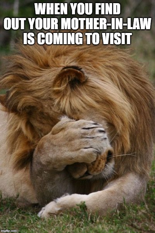 Image Tagged In Mother in law Jokes Imgflip