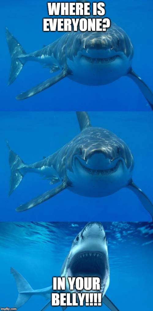 Bad Shark Pun  | WHERE IS EVERYONE? IN YOUR BELLY!!!! | image tagged in bad shark pun | made w/ Imgflip meme maker