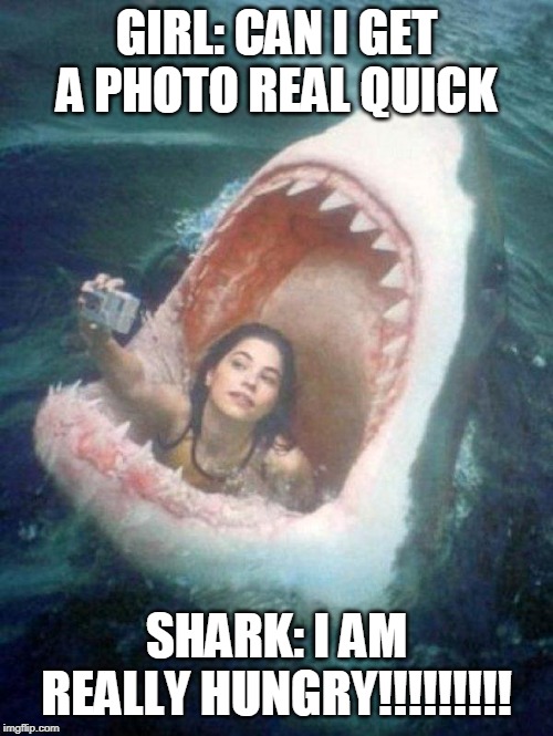 Shark | GIRL: CAN I GET A PHOTO REAL QUICK; SHARK: I AM REALLY HUNGRY!!!!!!!!! | image tagged in shark | made w/ Imgflip meme maker