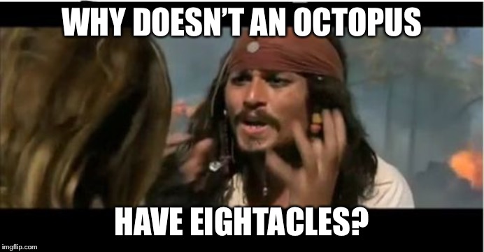 Why Is The Rum Gone Meme | WHY DOESN’T AN OCTOPUS; HAVE EIGHTACLES? | image tagged in memes,why is the rum gone,bad pun,octopus | made w/ Imgflip meme maker