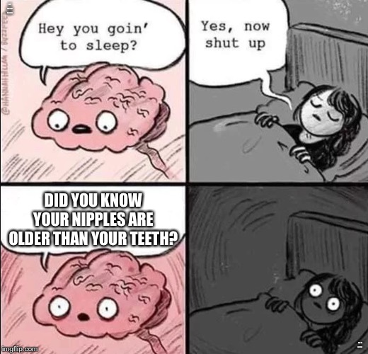 waking up brain | HEY YOU GOIN’ TO SLEEP? DID YOU KNOW YOUR NIPPLES ARE OLDER THAN YOUR TEETH? YES, SO SHUT UP. | image tagged in waking up brain | made w/ Imgflip meme maker