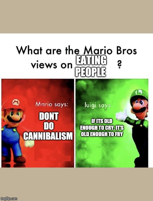 Mario Bros Views | EATING PEOPLE; DONT DO CANNIBALISM; IF ITS OLD ENOUGH TO CRY, IT'S OLD ENOUGH TO FRY | image tagged in mario bros views | made w/ Imgflip meme maker