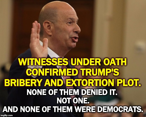 Under oath | WITNESSES UNDER OATH CONFIRMED TRUMP'S BRIBERY AND EXTORTION PLOT. NONE OF THEM DENIED IT. 
NOT ONE.
AND NONE OF THEM WERE DEMOCRATS. | image tagged in trump,bribery,extortion,impeachment,toast | made w/ Imgflip meme maker