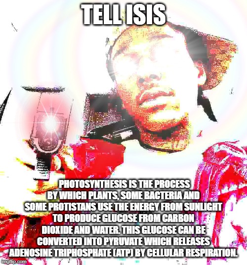 Tell ISIS | TELL ISIS; PHOTOSYNTHESIS IS THE PROCESS BY WHICH PLANTS, SOME BACTERIA AND SOME PROTISTANS USE THE ENERGY FROM SUNLIGHT TO PRODUCE GLUCOSE FROM CARBON DIOXIDE AND WATER. THIS GLUCOSE CAN BE CONVERTED INTO PYRUVATE WHICH RELEASES ADENOSINE TRIPHOSPHATE (ATP) BY CELLULAR RESPIRATION. | image tagged in isis,shitpost,deep fried,lens flare | made w/ Imgflip meme maker