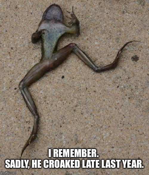 I REMEMBER. 
SADLY, HE CROAKED LATE LAST YEAR. | made w/ Imgflip meme maker