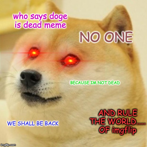 Doges are evolving and want revenge for calling them a dead meme | who says doge is dead meme; NO ONE; BECAUSE IM NOT DEAD; AND RULE THE WORLD..... OF imgflip; WE SHALL BE BACK | image tagged in memes,doge,funny,oof | made w/ Imgflip meme maker