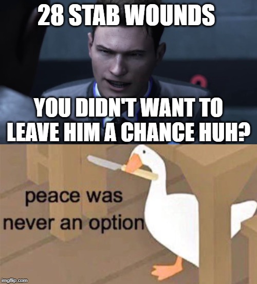 28 STAB WOUNDS; YOU DIDN'T WANT TO LEAVE HIM A CHANCE HUH? | image tagged in 28 stab wounds,untitled goose peace was never an option | made w/ Imgflip meme maker