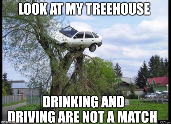 Secure Parking | LOOK AT MY TREEHOUSE; DRINKING AND DRIVING ARE NOT A MATCH | image tagged in memes,secure parking | made w/ Imgflip meme maker