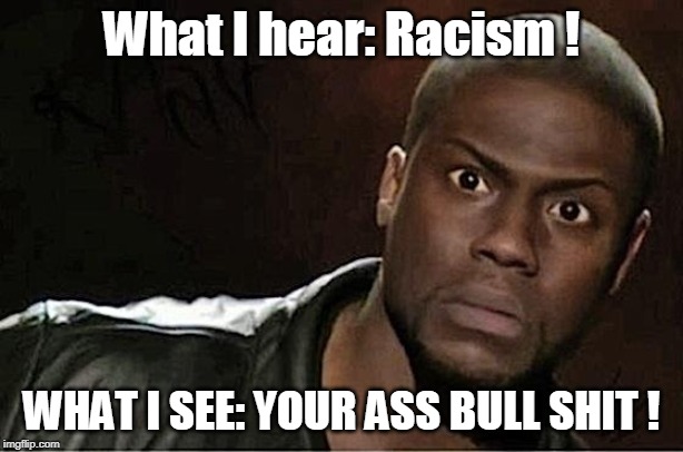 I hear Racism! | What I hear: Racism ! WHAT I SEE: YOUR ASS BULL SHIT ! | image tagged in kevin hart,funny memes,political meme,understanding,tolerance,liberal logic | made w/ Imgflip meme maker