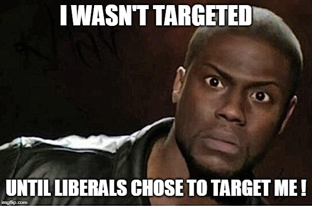 I Wasn't Targeted... | I WASN'T TARGETED; UNTIL LIBERALS CHOSE TO TARGET ME ! | image tagged in kevin hart,funny memes,political meme,bullshit,target practice,stupid liberals | made w/ Imgflip meme maker