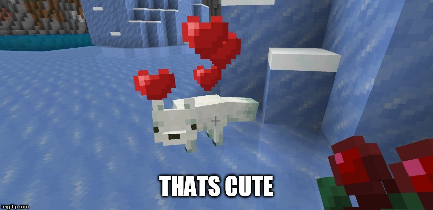 minecraft hearts | THATS CUTE | image tagged in minecraft hearts | made w/ Imgflip meme maker