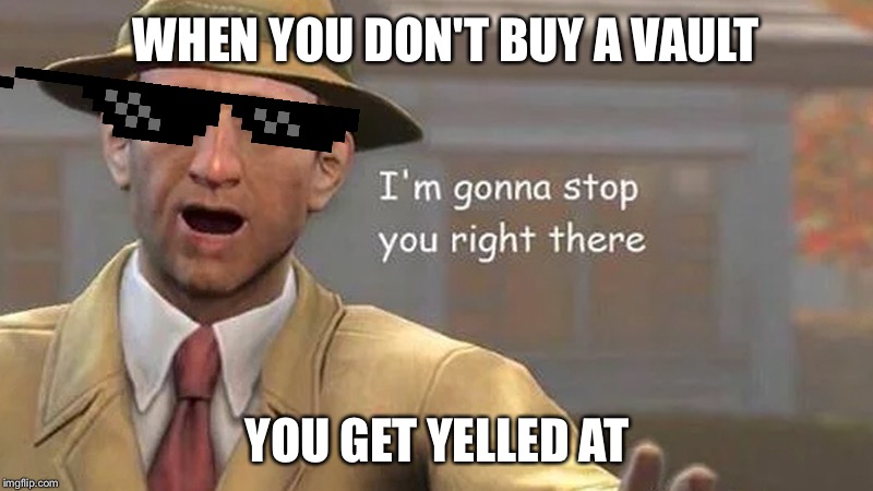 I'm gonna stop you right there | WHEN YOU DON'T BUY A VAULT; YOU GET YELLED AT | image tagged in i'm gonna stop you right there | made w/ Imgflip meme maker