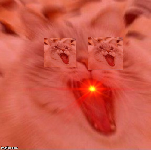 CaT Eyes eyes mouth | image tagged in triggered,cat,red eyes | made w/ Imgflip meme maker