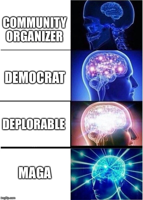 Expanding Brain | COMMUNITY ORGANIZER; DEMOCRAT; DEPLORABLE; MAGA | image tagged in memes,expanding brain | made w/ Imgflip meme maker