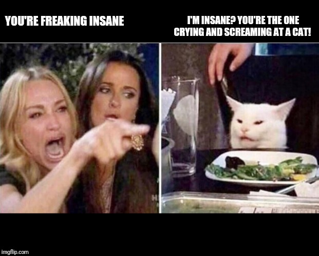 Crying girls and Cat | I'M INSANE? YOU'RE THE ONE CRYING AND SCREAMING AT A CAT! YOU'RE FREAKING INSANE | image tagged in crying girls and cat | made w/ Imgflip meme maker
