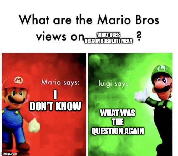 Mario Bros Views | WHAT DOES DISCOMBOBULATE MEAN; I DON’T KNOW; WHAT WAS THE QUESTION AGAIN | image tagged in mario bros views | made w/ Imgflip meme maker