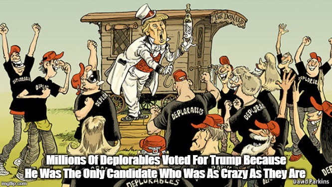 Millions Of Deplorables Voted For Trump Because He Was The Only Candidate Who Was As Crazy As They Are | made w/ Imgflip meme maker