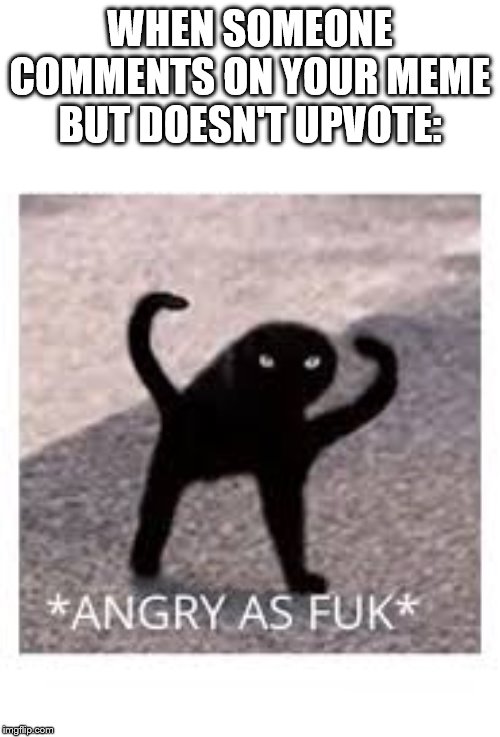 Angery as Fuk | WHEN SOMEONE COMMENTS ON YOUR MEME BUT DOESN'T UPVOTE: | image tagged in angery as fuk | made w/ Imgflip meme maker