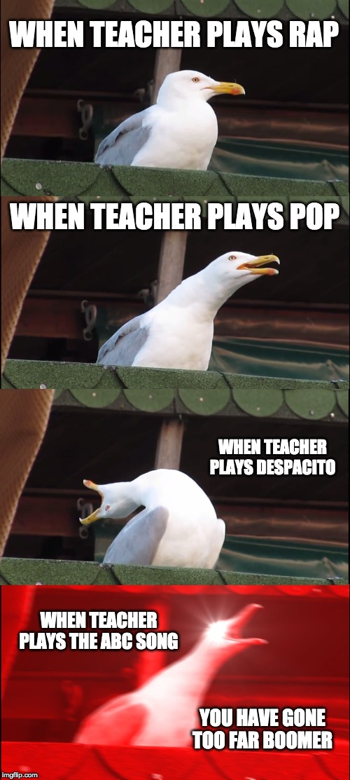 Inhaling Seagull Meme | WHEN TEACHER PLAYS RAP; WHEN TEACHER PLAYS POP; WHEN TEACHER PLAYS DESPACITO; WHEN TEACHER PLAYS THE ABC SONG; YOU HAVE GONE TOO FAR BOOMER | image tagged in memes,inhaling seagull | made w/ Imgflip meme maker