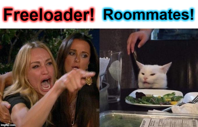 Woman Yelling At Cat | Freeloader! Roommates! | image tagged in memes,woman yelling at cat | made w/ Imgflip meme maker